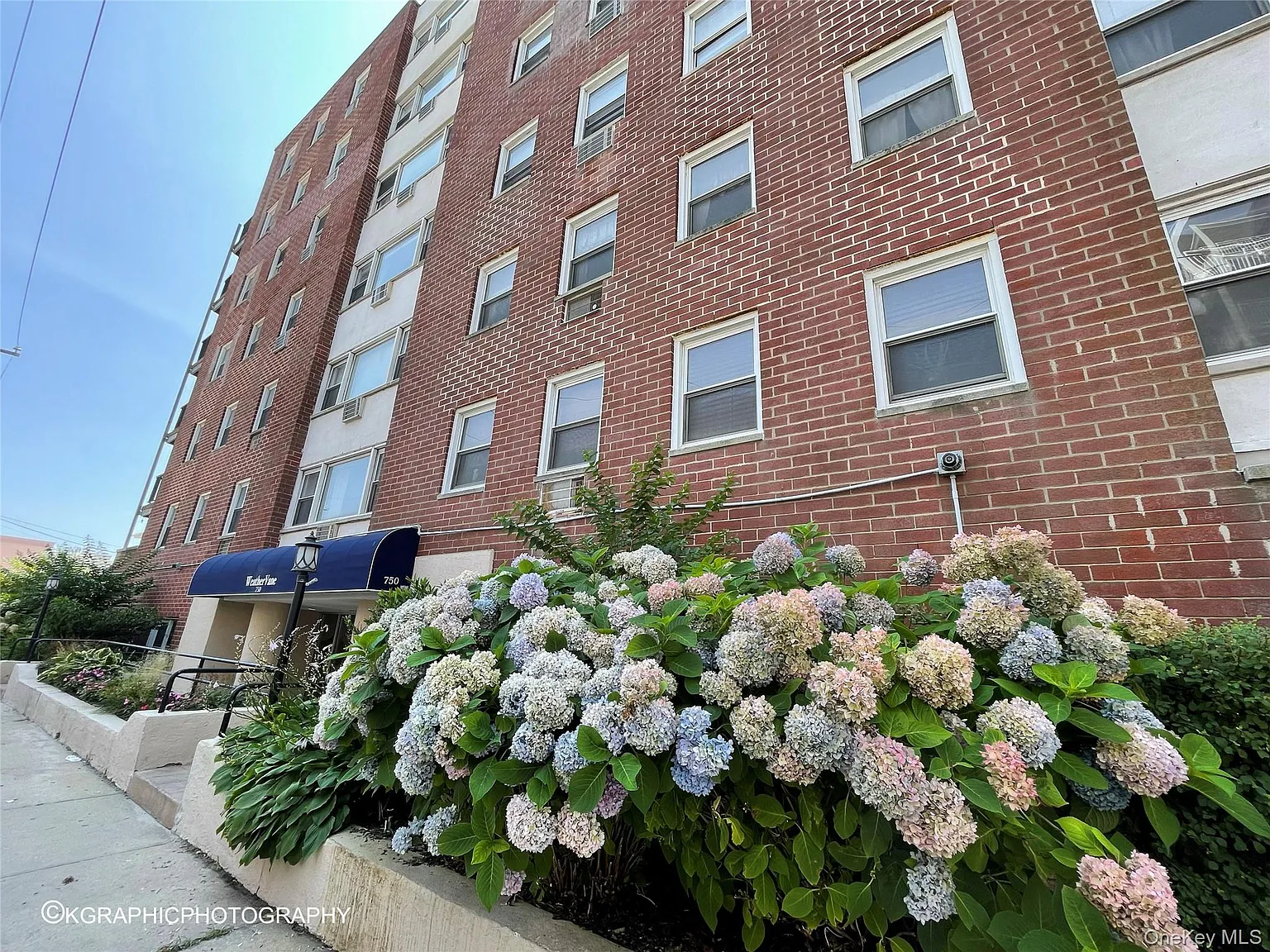 1 bed, 1.5 bath, 1100 sqft, $3,300 — Photo 2