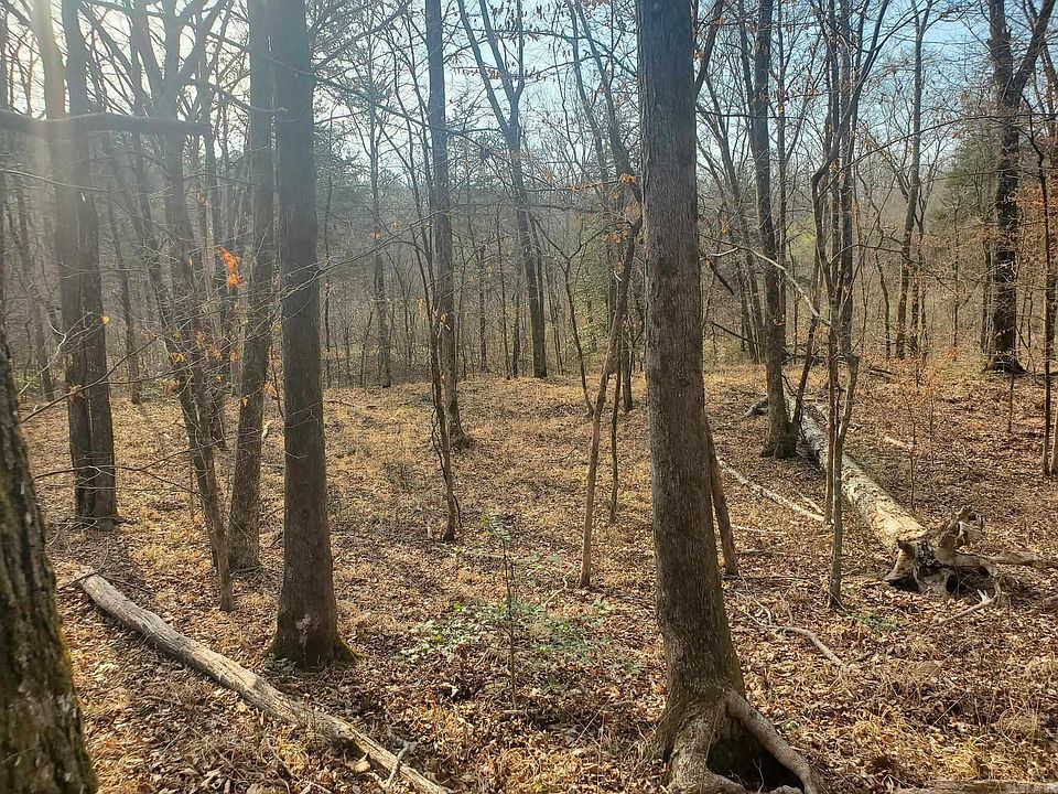 2nd image of Kates Creek Rd