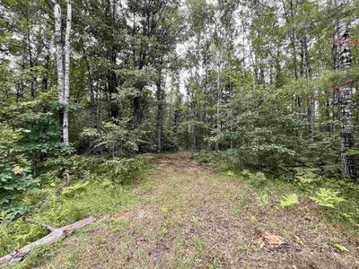 REYNOLDS ROAD #4, Wausaukee, WI, 54177
