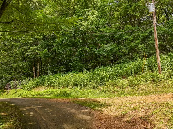 0 Salt Ln Lot 35, Savannah, TN 38372