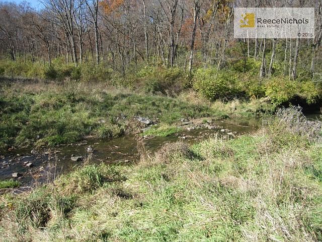 Creek and Woods Eastside