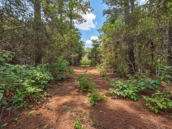 3rd image of 3340 County Road 325