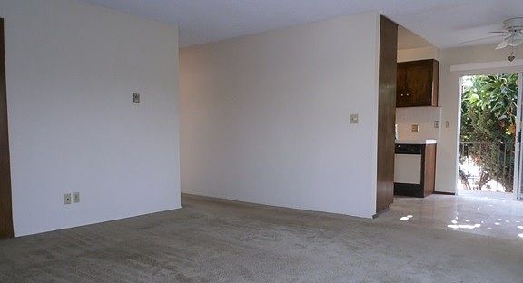 Large Living Space