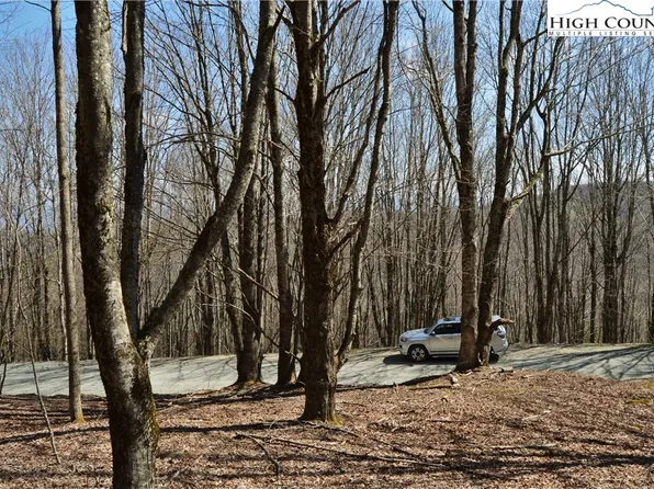 133 E Blueberry Lane, Beech Mountain, NC 28604