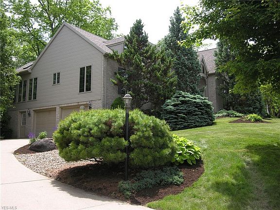 3rd image of 63 Beech Cliff Dr