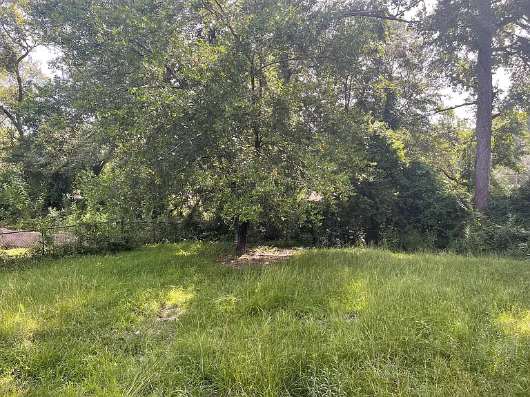 234 Wickham Dr — Photo 13