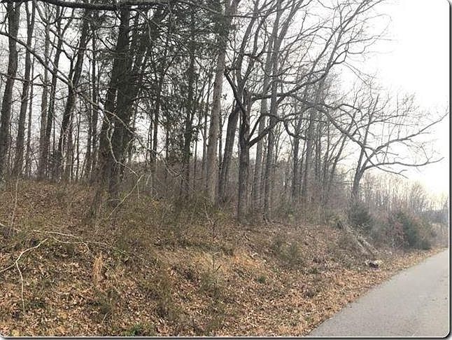 2nd image of Pinto Ridge Dr