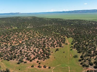 39.93 ACRE W TITAN RANCH Road #318, Seligman, AZ, 86337