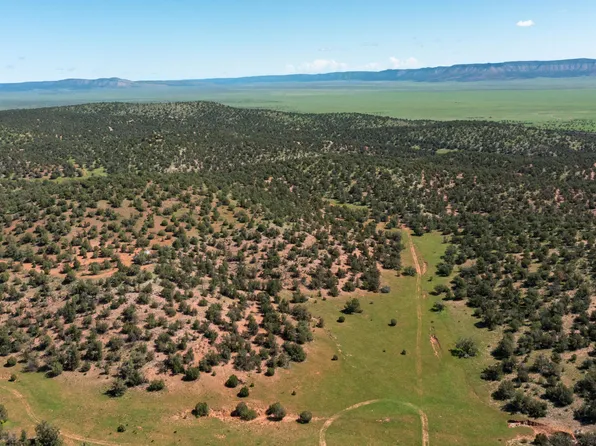 39.93 ACRE W TITAN RANCH Road #318, Seligman, AZ 86337