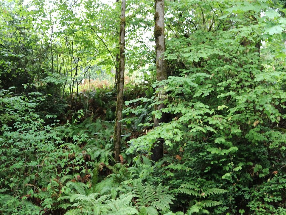 2nd image of 18900 E State Route 3