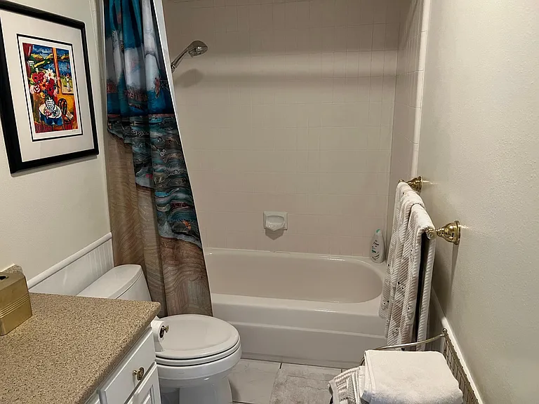5463 Caminito Agua — Photo 34