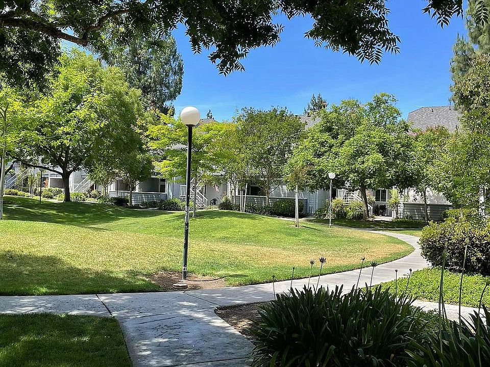 Summer View of the park