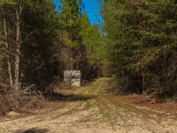 0 County Road 62, Preston, GA 31824