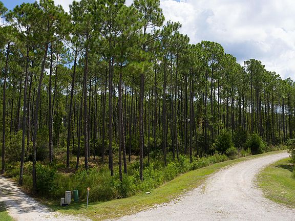 4th image of 6406 Sawgrass Marsh Ln