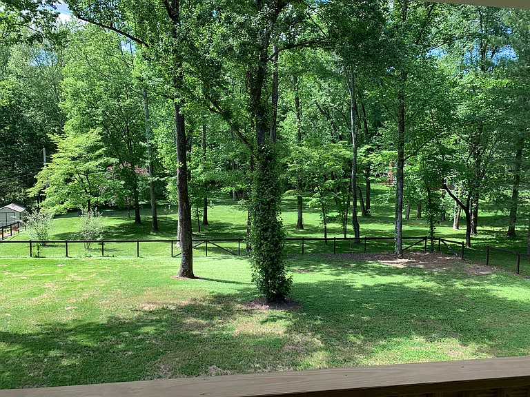 Mature trees throughout backyard.