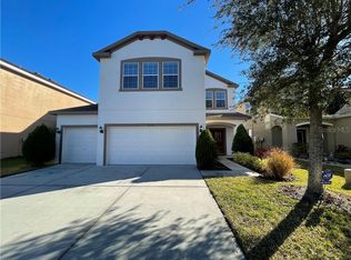 20301 Autumn Fern Ave, Tampa, FL 33647
