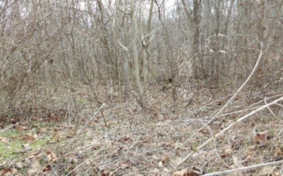 2nd image of 0 Beaver Ln Lot 24