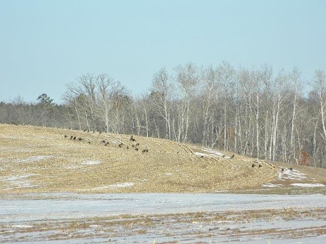 2nd image of 0 Medchill Rd