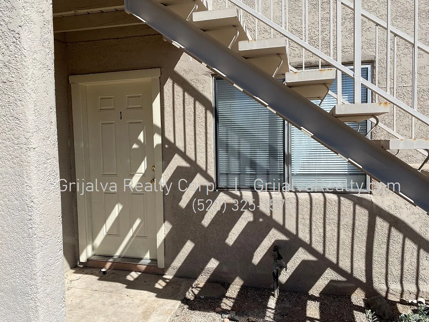 3801 Queen Palm Maintenance — Photo 3