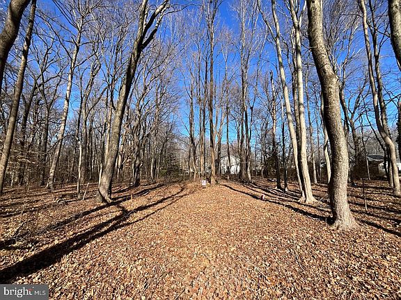 3rd image of Holly Neck Rd