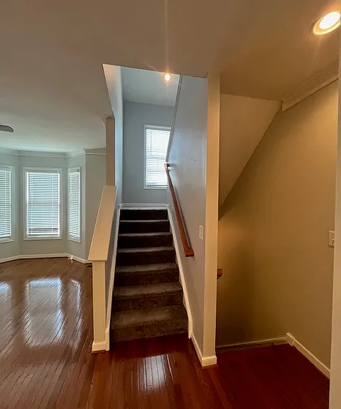 10266 Ibis Dr — Photo 9