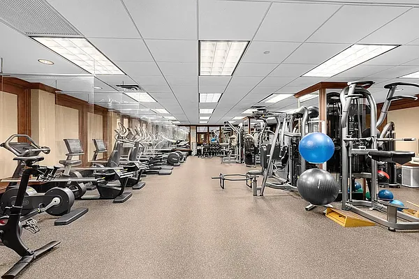 Rented by Bond New York | media 18