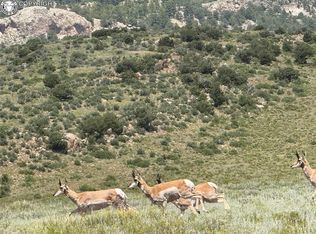 35 Elk Ln, Westcliffe, CO