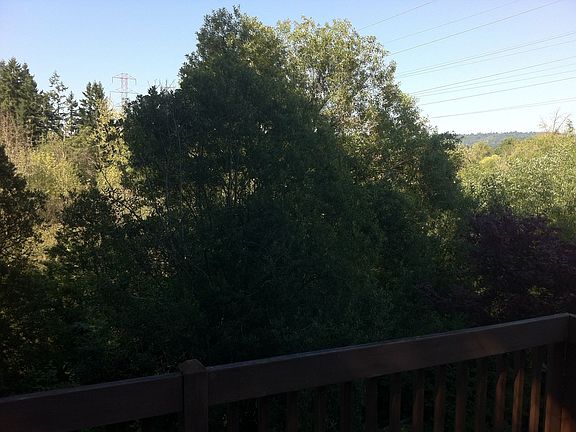 View from Master Deck