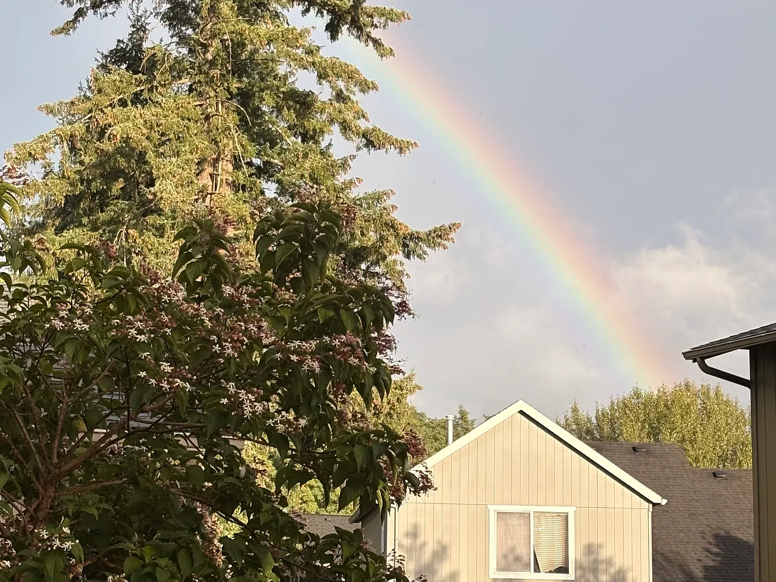 2 bed, 800 sqft, $1,700 — Photo 4