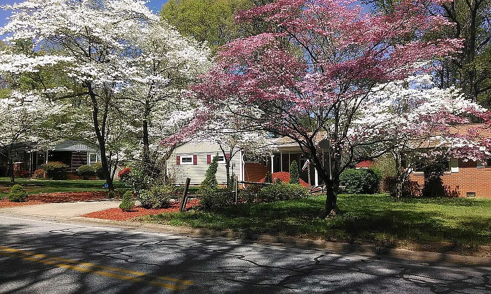 1st image of 2812 Dellwood Dr