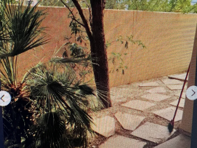 3760 El Dorado Blvd #1 — Photo 10