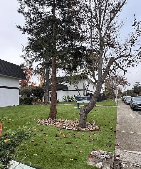 Silicon Valley Apartments — Photo 7