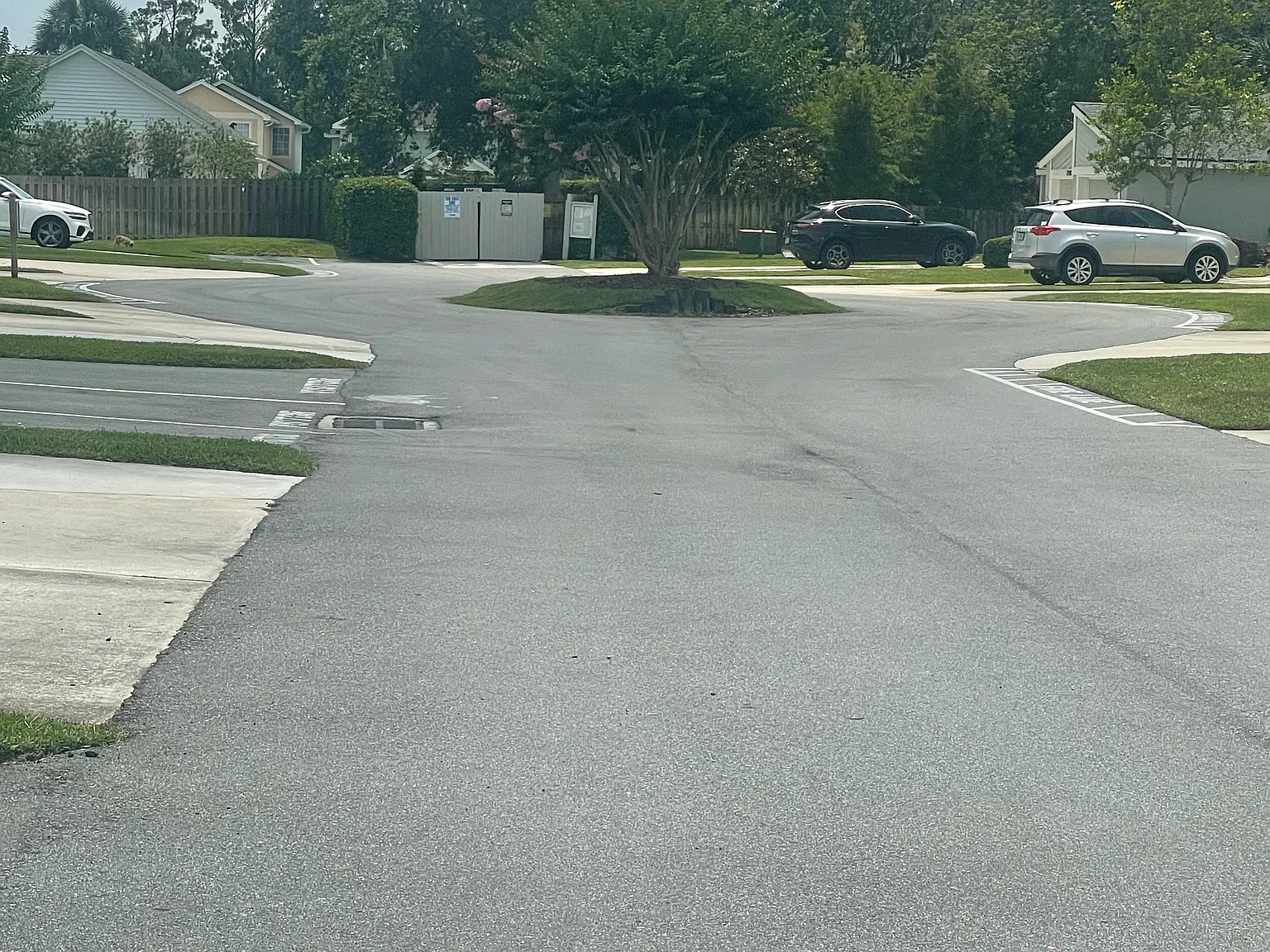 2 bed, 1038 sqft, $3,000 — Photo 3