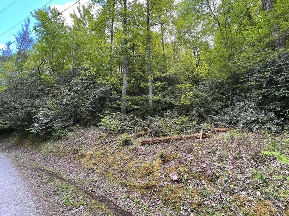 8 Sawyer Crk, Robbinsville, NC 28771