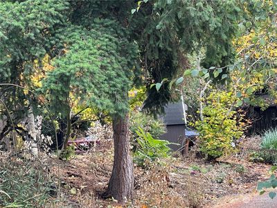 1449 Mt. Baker Highway, Bellingham, WA, 98226