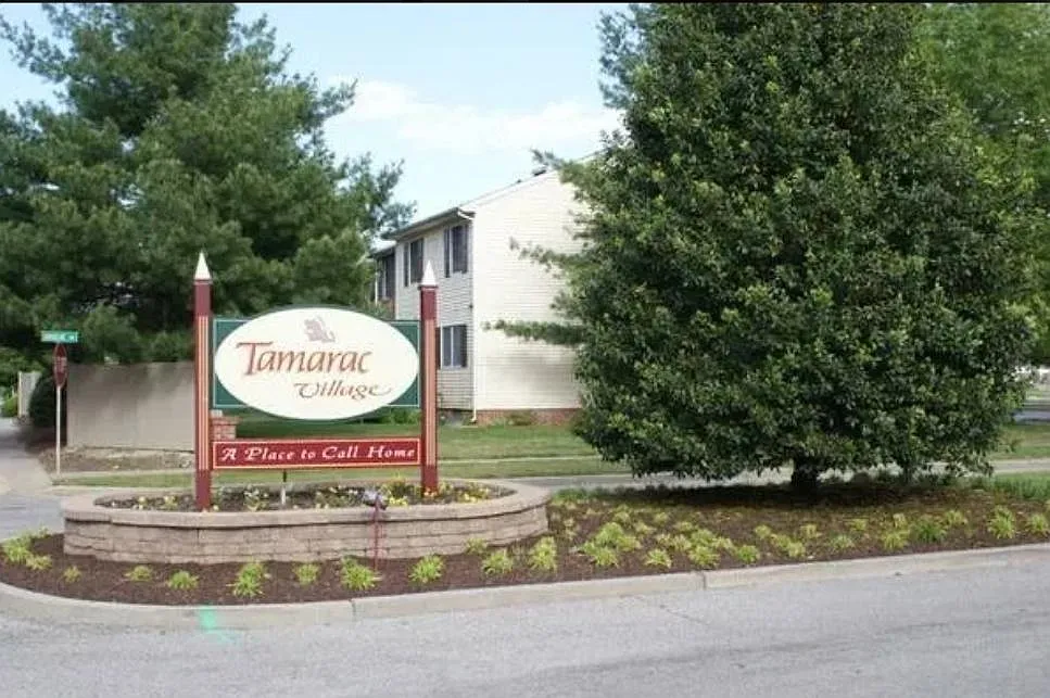 2 bed, 1.5 bath, 1120 sqft, $1,595 — Photo 2