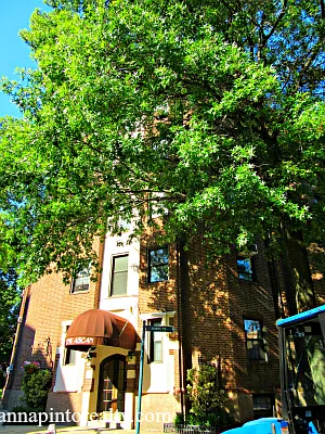 Sold by Anna Pinto Realty | media 34