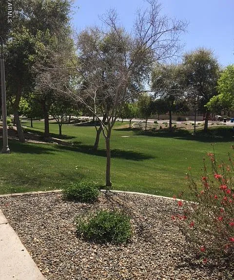 6446 W Constance Way — Photo 8