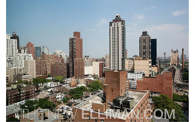 Rented by Douglas Elliman | media 27