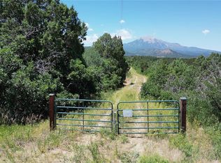 178 Blackhawk Rnch #FIL-10, Walsenburg, CO 81089