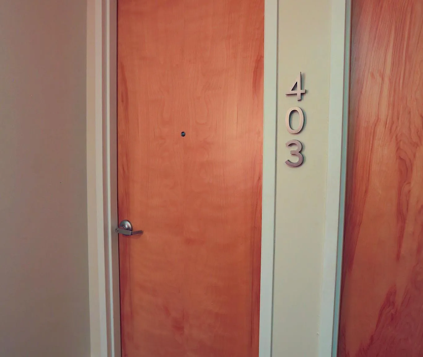1 bed, 813 sqft, $1,595 — Photo 1