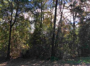 0 Jackson Rd, Harleton, TX 75651