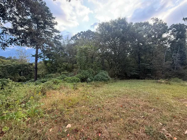 0 11th St, Bridgeport, AL 35740