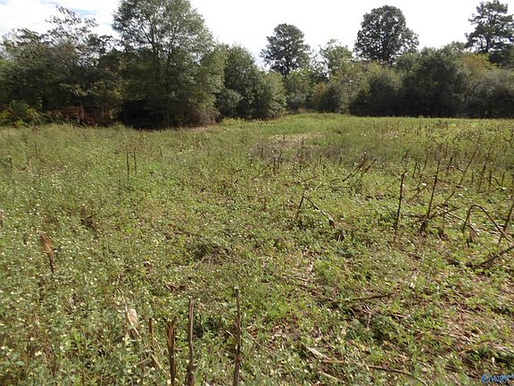4th image of 2073 County Road 111