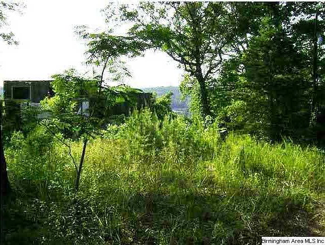 2nd image of 75 River Oak Ln