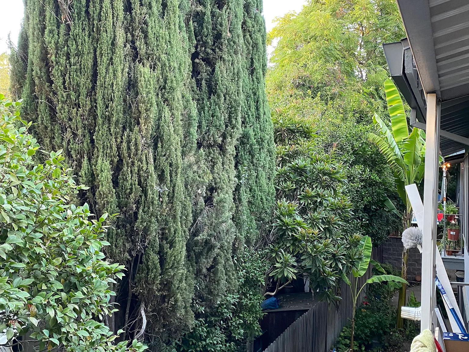 1 bed, 700 sqft, $1,550 — Photo 2