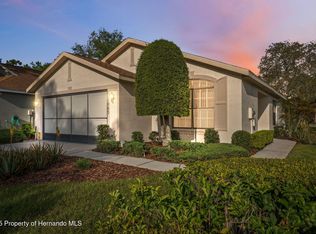 1005 Indigo Run Ct, Spring Hill, FL 34609