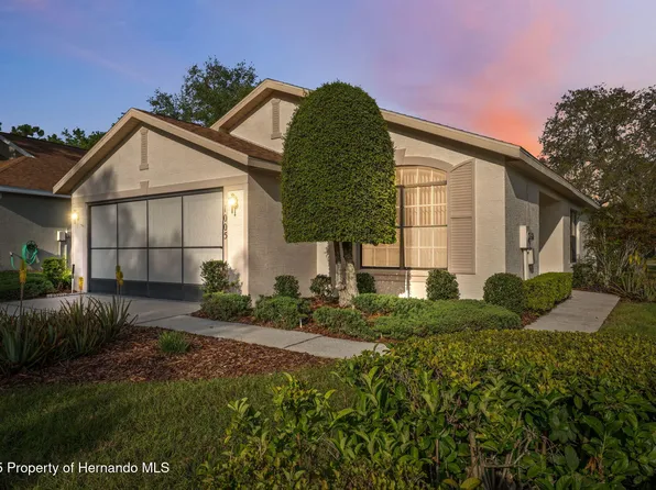 1005 Indigo Run Ct, Spring Hill, FL 34609