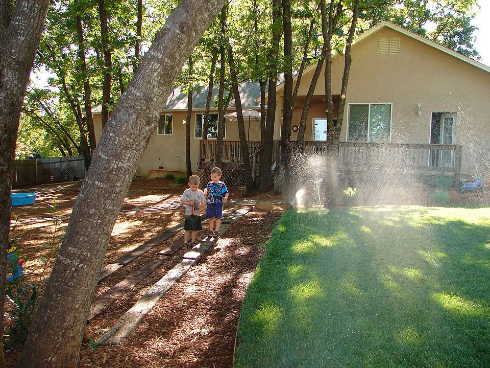 Portion of backyard. 