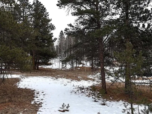 210 Rhyolite Ln, Florissant, CO 80816